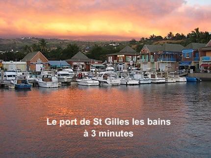 Prana Lodge Saint Gilles Les Bains 800 M De La Plage מראה חיצוני תמונה